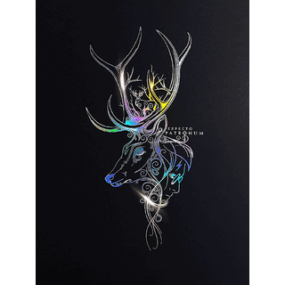 Affiche Harry Potter - Patronus