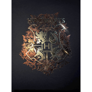 Affiche Harry Potter - Poudlard