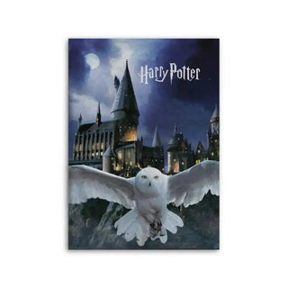 Plaid Polaire Hedwige Harry Potter La Boutique Aux 2 Balais