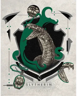 Serpentard -  La boutique Aux 2 Balais