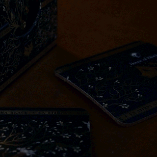 4 Sous-Verres Famille Black – Harry Potter -  La boutique Aux 2 Balais