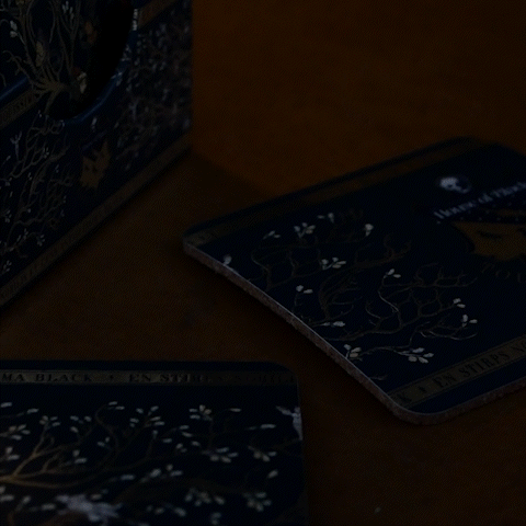4 Sous-Verres Famille Black, Harry Potter -  La boutique Aux 2 Balais