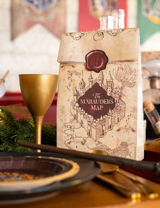 Sacs Cadeaux Harry Potter - pack de 6