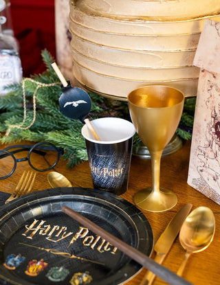 8 Gobelets Harry Potter 210ml – Fête Anniversaire Sorcier -  La boutique Aux 2 Balais