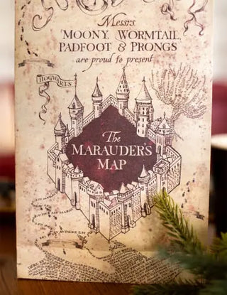 8 Sacs Cadeaux Harry Potter Carte Maraudeur – Anniversaire -  La boutique Aux 2 Balais
