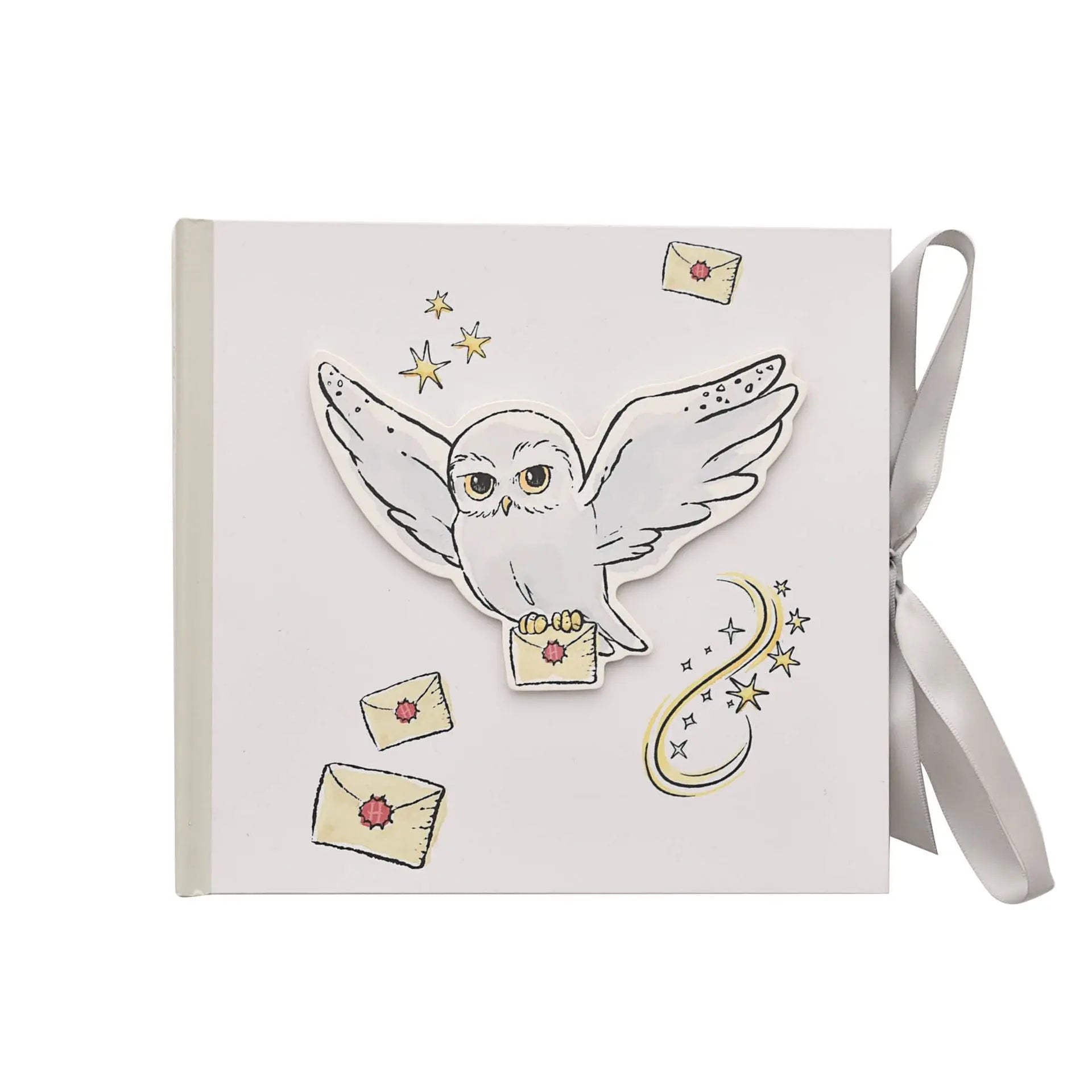 Album Photo Hedwige Harry Potter -  La boutique Aux 2 Balais