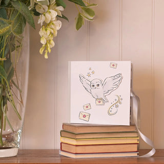 Album Photo Hedwige Harry Potter -  La boutique Aux 2 Balais