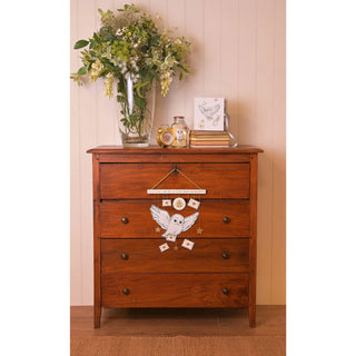 Album Photo Hedwige Harry Potter -  La boutique Aux 2 Balais