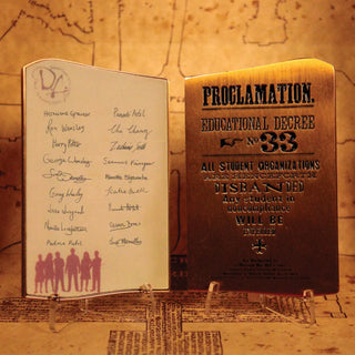 Armée de Dumbldedore Lingot Edition Limitée Harry Potter -  La boutique Aux 2 Balais