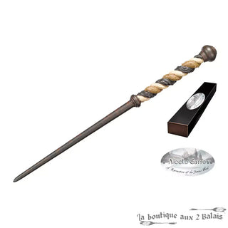 Baguette Alecto Carrow Personnage