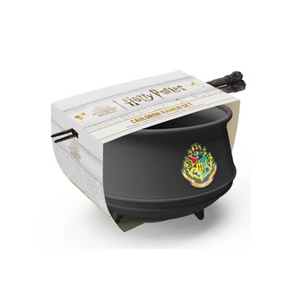 Bol Ramen Chaudron Harry Potter -  La boutique Aux 2 Balais