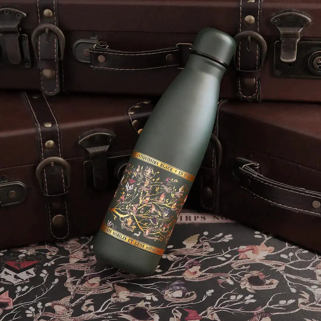 Bouteille Isotherme Famille Black 500ml – Harry Potter -  La boutique Aux 2 Balais