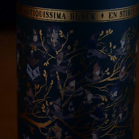Bouteille Isotherme Famille Black 500ml, Harry Potter -  La boutique Aux 2 Balais