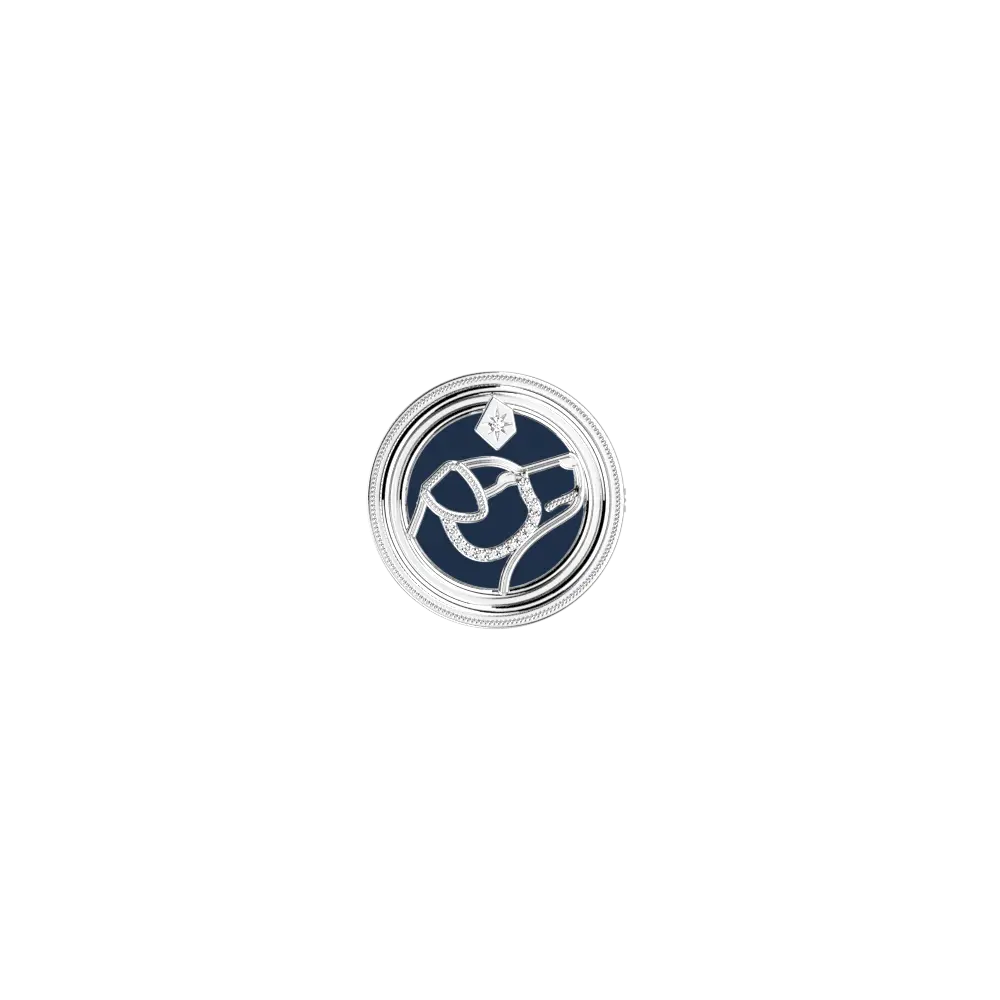 Broche Patronus Phoenix Harry Potter - Argentée