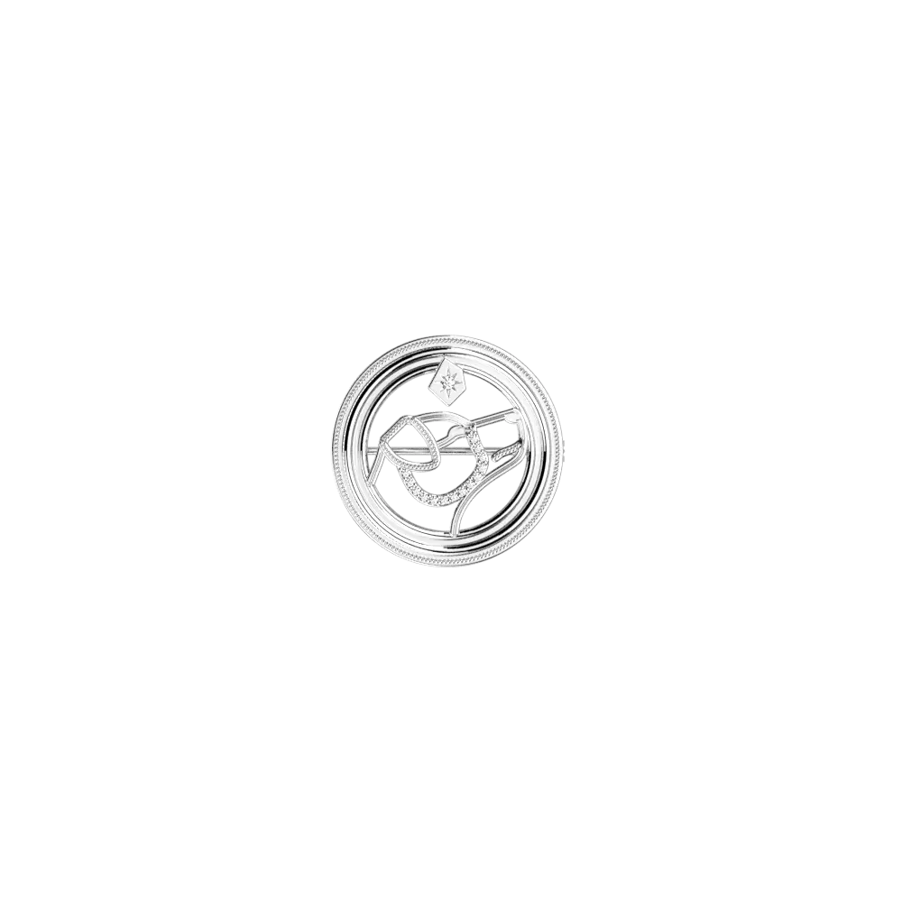 Broche Patronus Phoenix Harry Potter - Argentée
