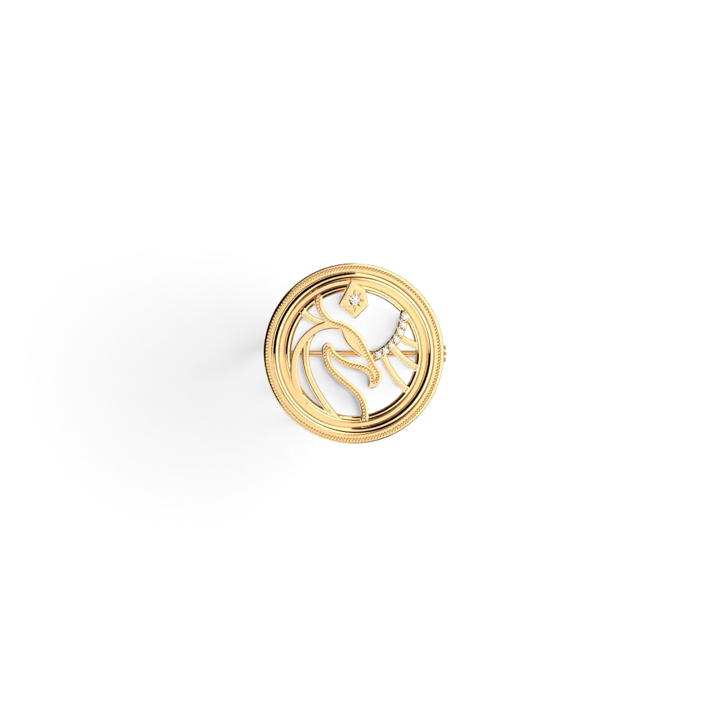 Broche La boutique Aux 2 Balais Harry Potter Patronus Phoenix dorée avec oxydes et cuir interchangeable