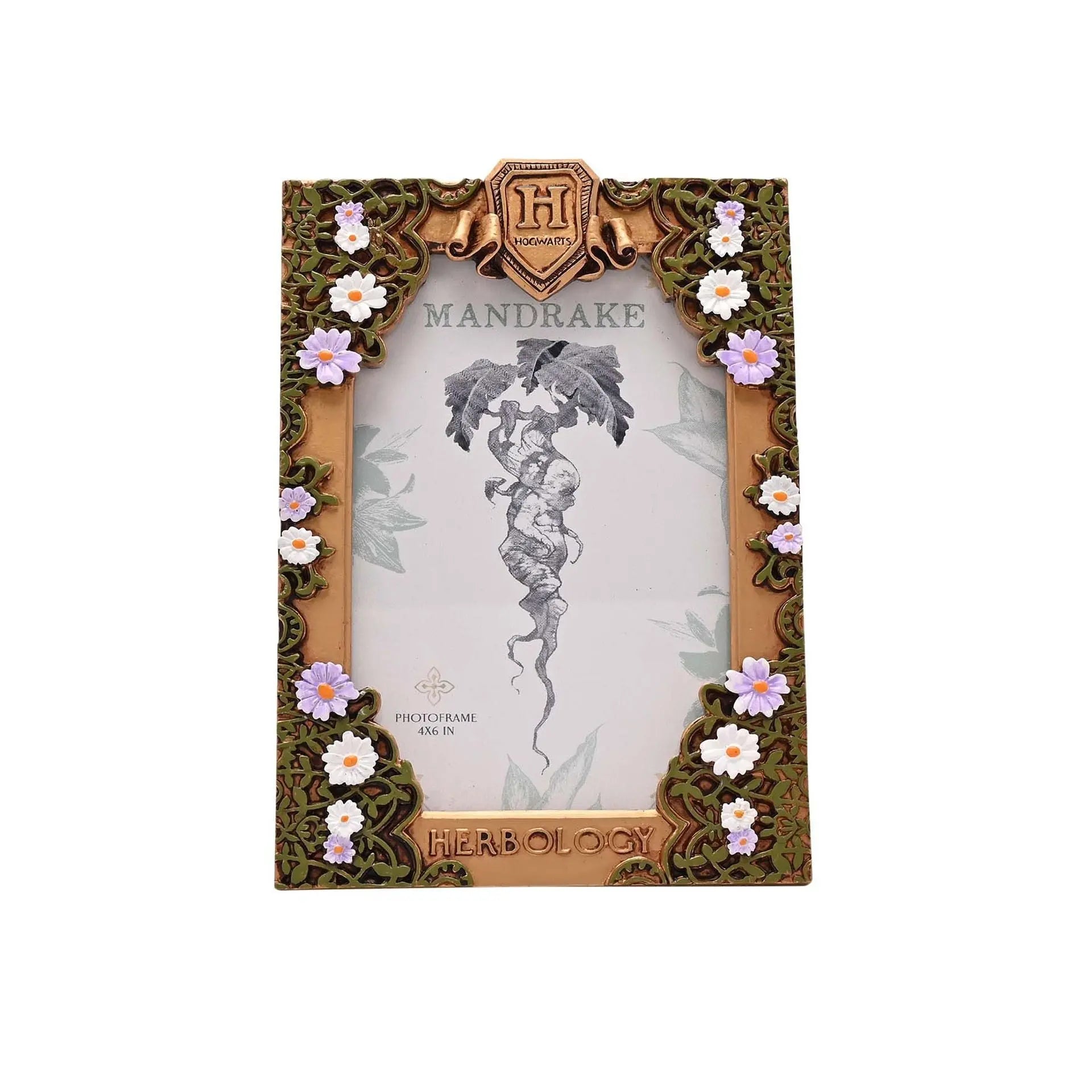 Cadre Photo Herbology Doré – Harry Potter -  La boutique Aux 2 Balais