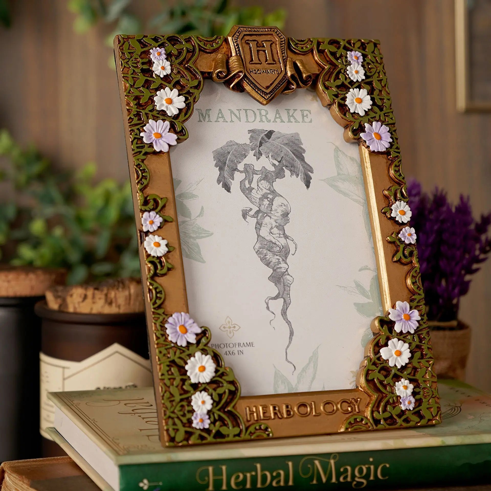 Cadre Photo Herbology Doré – Harry Potter -  La boutique Aux 2 Balais