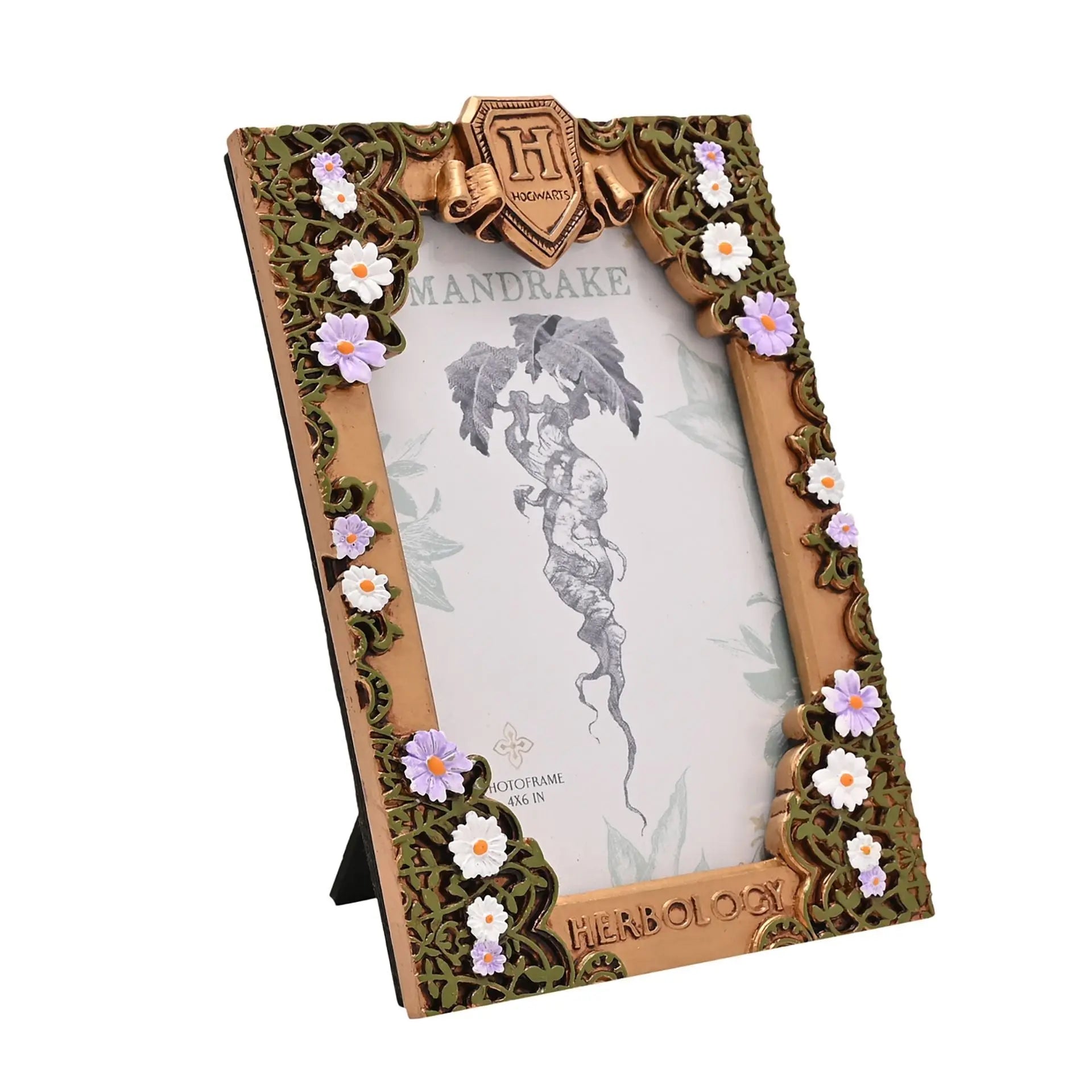 Cadre Photo Herbology Doré – Harry Potter -  La boutique Aux 2 Balais