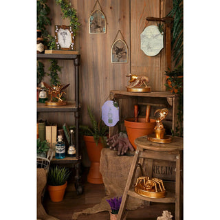 Cadre Photo Herbology Doré – Harry Potter -  La boutique Aux 2 Balais
