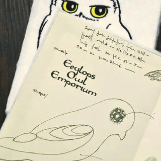 Cahier A5 Hedwige Premium -  La boutique Aux 2 Balais