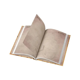 Cahier Lumineux Maraudeur -  La boutique Aux 2 Balais