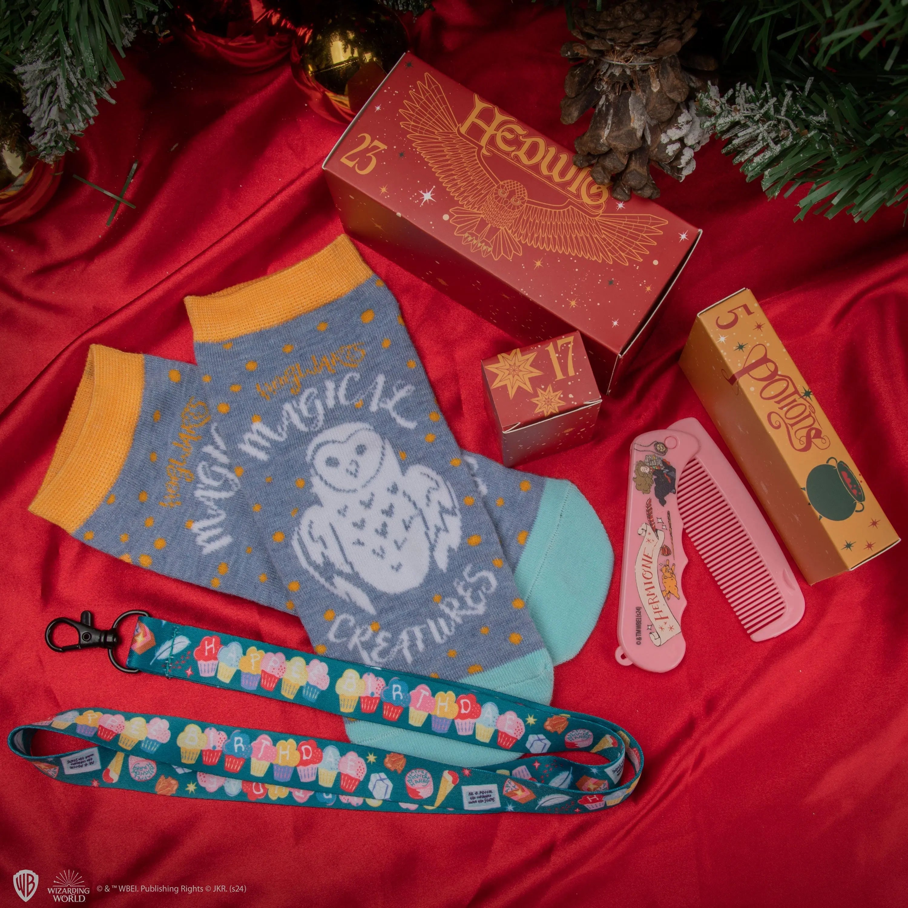 Calendrier de l'Avent Deluxe Harry Potter 2024 -  La boutique Aux 2 Balais