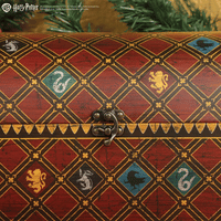 Calendrier de l’Avent Deluxe Harry Potter Quidditch 2025 -  La boutique Aux 2 Balais