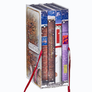 Calendrier de l’Avent Harry Potter 2025 – Chemin de Traverse -  La boutique Aux 2 Balais