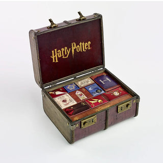 Calendrier de l’Avent Harry Potter – Malle de Poudlard Collector 2024 -  La boutique Aux 2 Balais