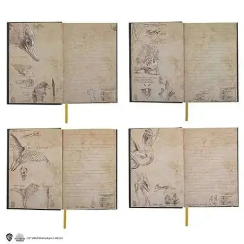 Carnet Animaux Fantastiques avec Marque-page -  La boutique Aux 2 Balais