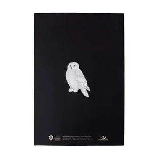 Carnet Portrait Harry Potter -  La boutique Aux 2 Balais