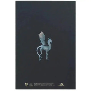 Carnet Portrait Luna Lovegood -  La boutique Aux 2 Balais