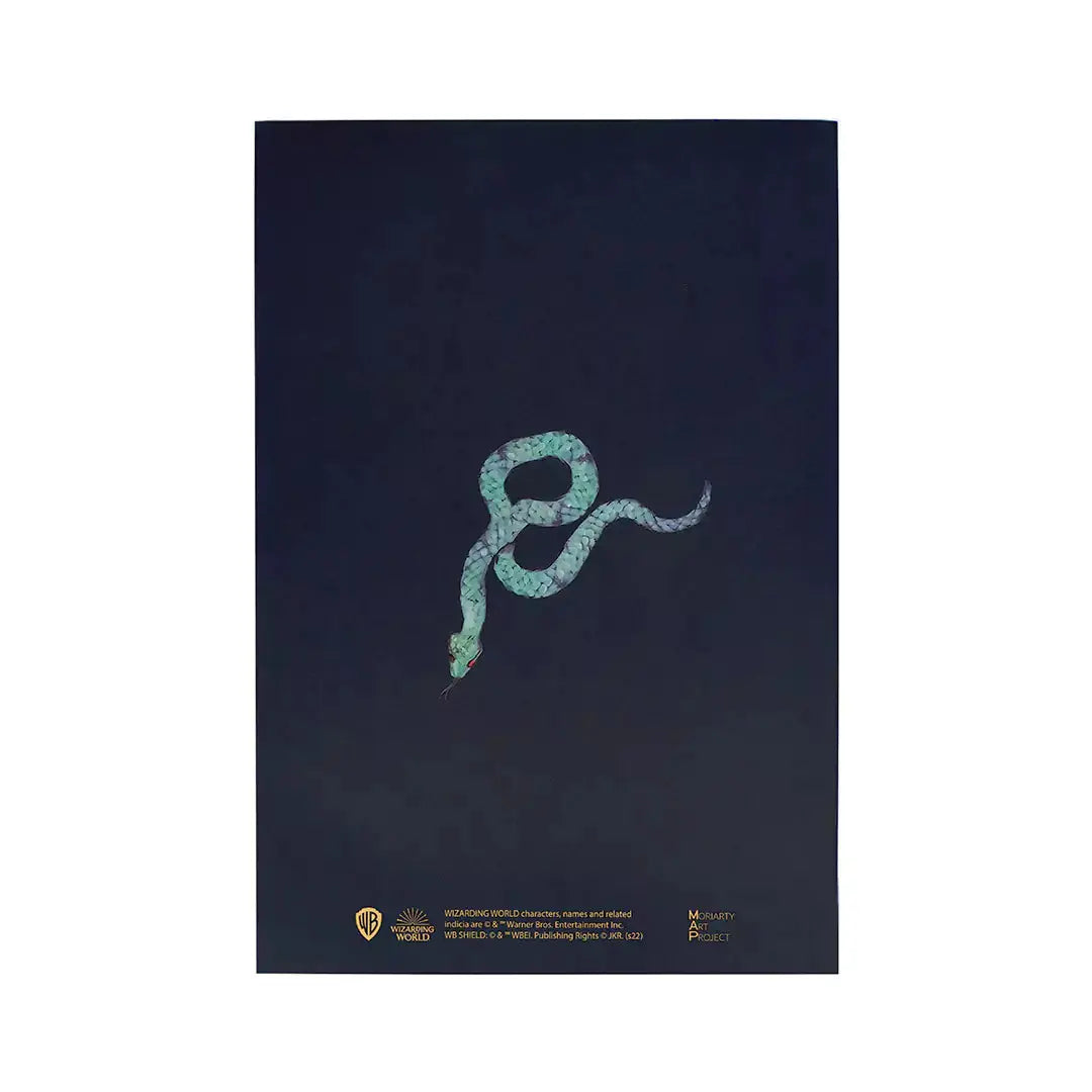 Carnet de Notes Harry Potter Drago Malefoy Portrait - Journal Souple A5 -  La boutique Aux 2 Balais