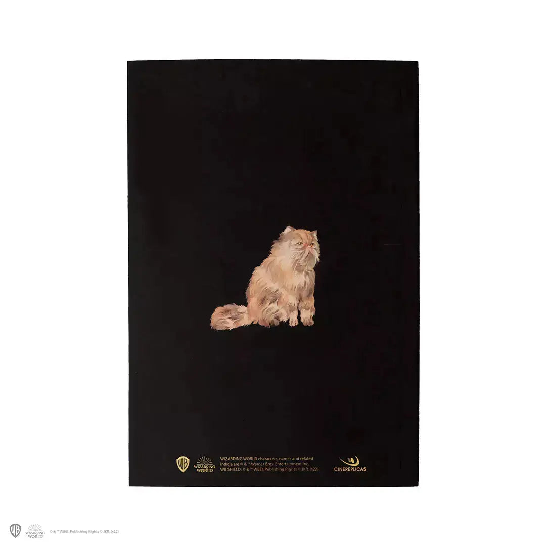 Carnet de Notes Harry Potter Hermione Granger Portrait -  La boutique Aux 2 Balais