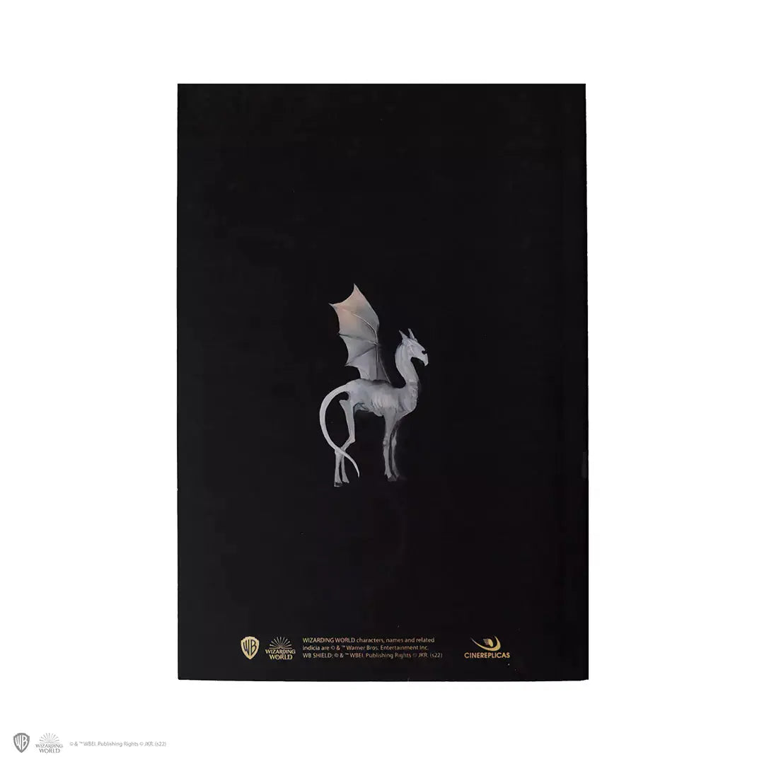 Carnet de Notes Harry Potter Luna Lovegood Portrait -  La boutique Aux 2 Balais