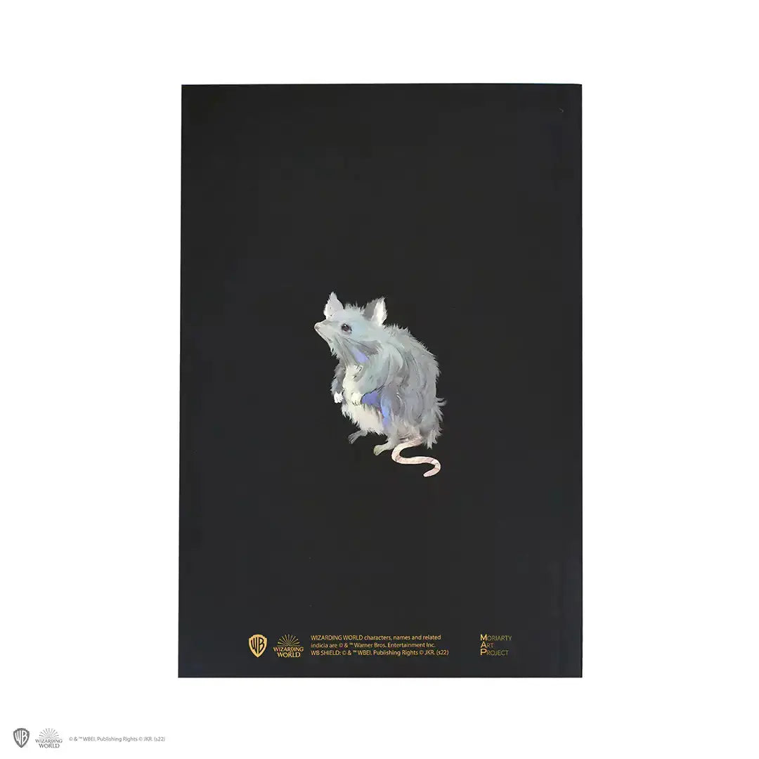 Carnet de Notes Harry Potter Ron Weasley Portrait - Journal Souple A5 -  La boutique Aux 2 Balais