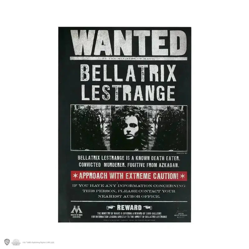 Carnet souple Bellatrix Lestrange -  La boutique Aux 2 Balais