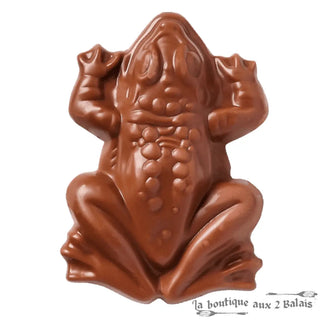 Chocogrenouille en Chocolat – Confiserie Harry Potter