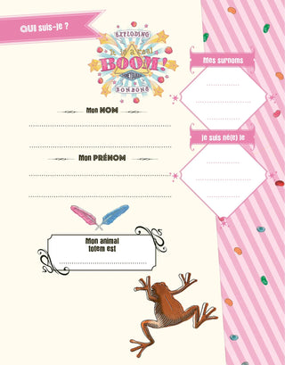 Coffret Journal Secret Harry Potter Honeydukes -  La boutique Aux 2 Balais