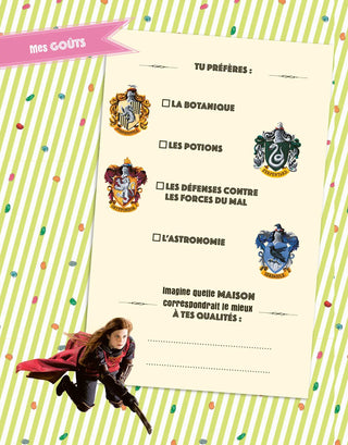 Coffret Journal Secret Harry Potter Honeydukes -  La boutique Aux 2 Balais