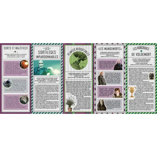 Coffret Magique 7 - Magie Noir -  La boutique Aux 2 Balais