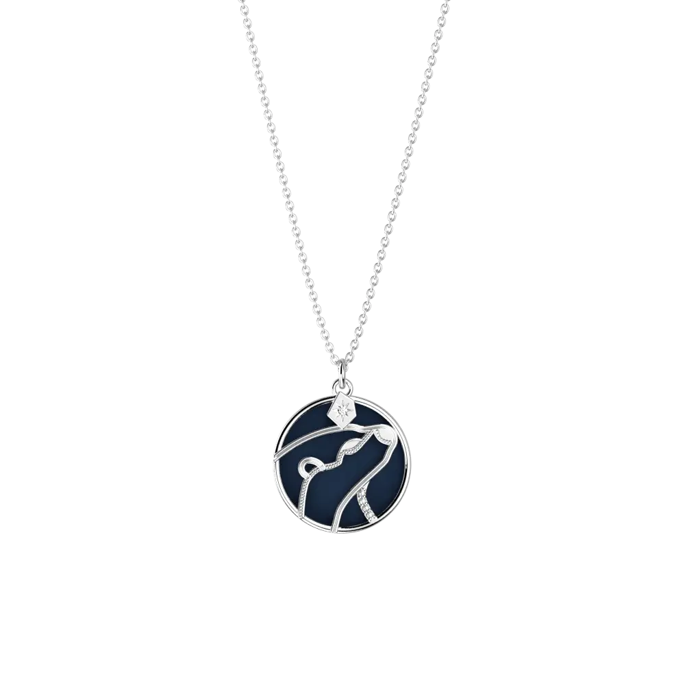 Collier Patronus Loutre Harry Potter - Argenté