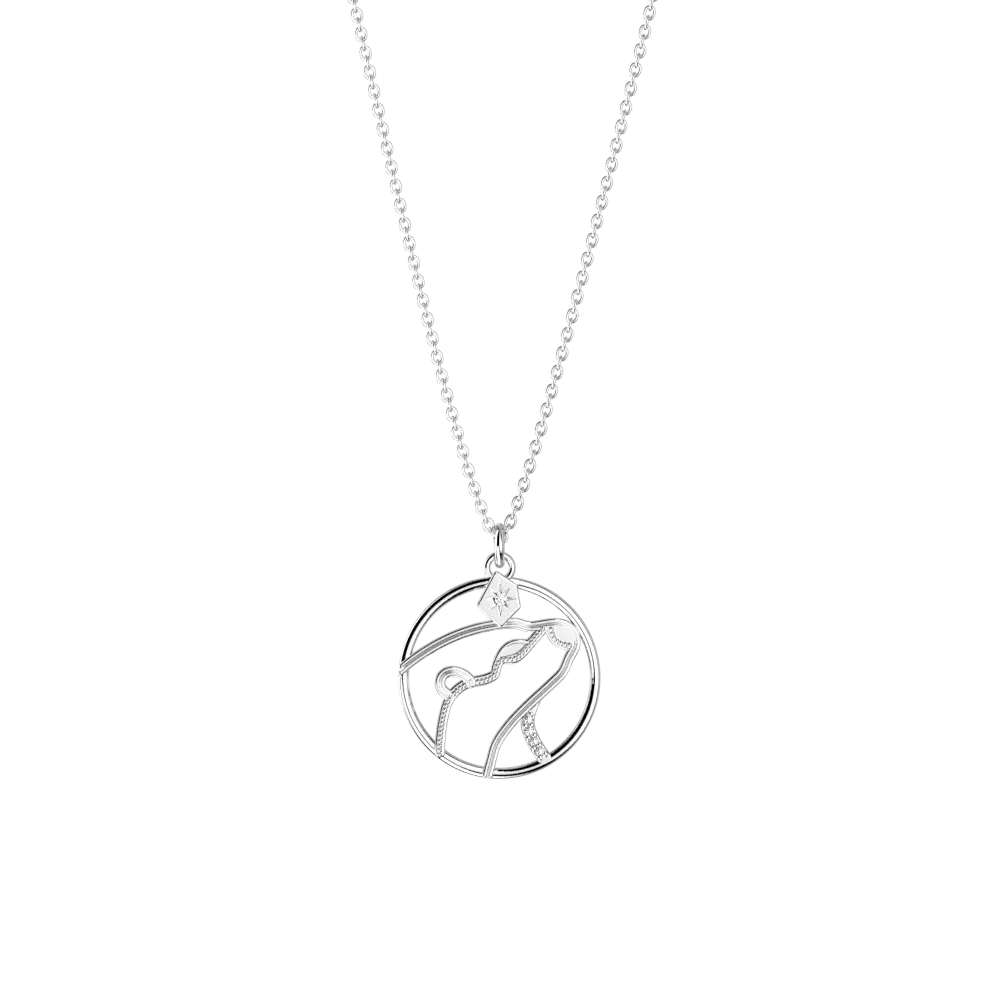 Collier Patronus Loutre Harry Potter - Argenté