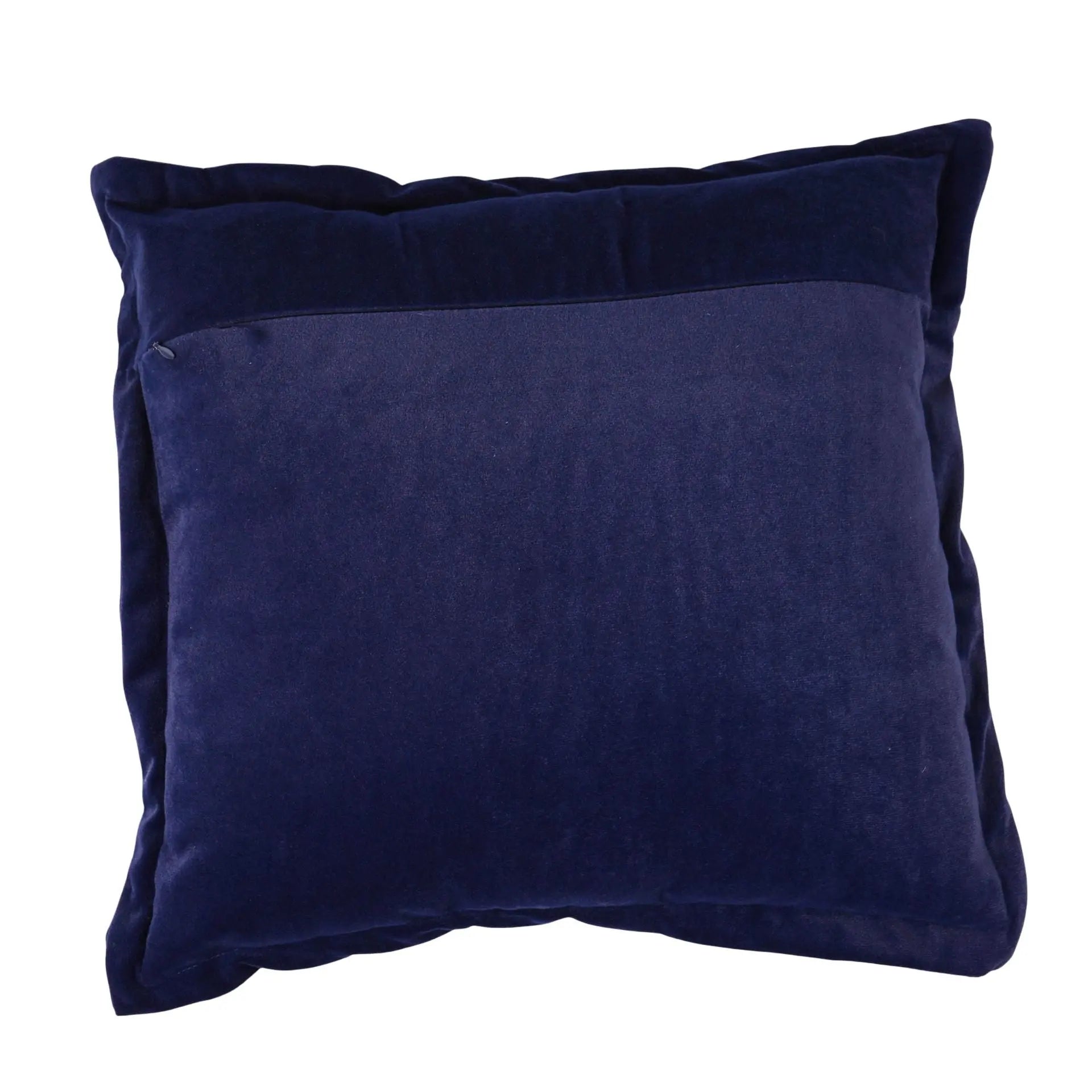 Coussin Velours Buck l'Hippogriffe