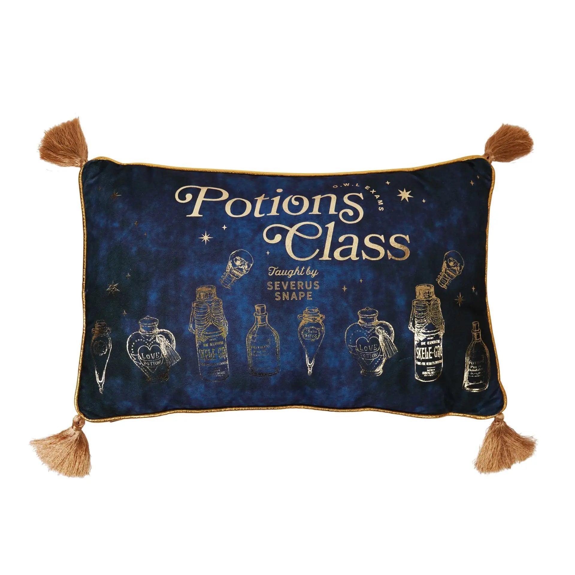 Coussin Velours Potions Class