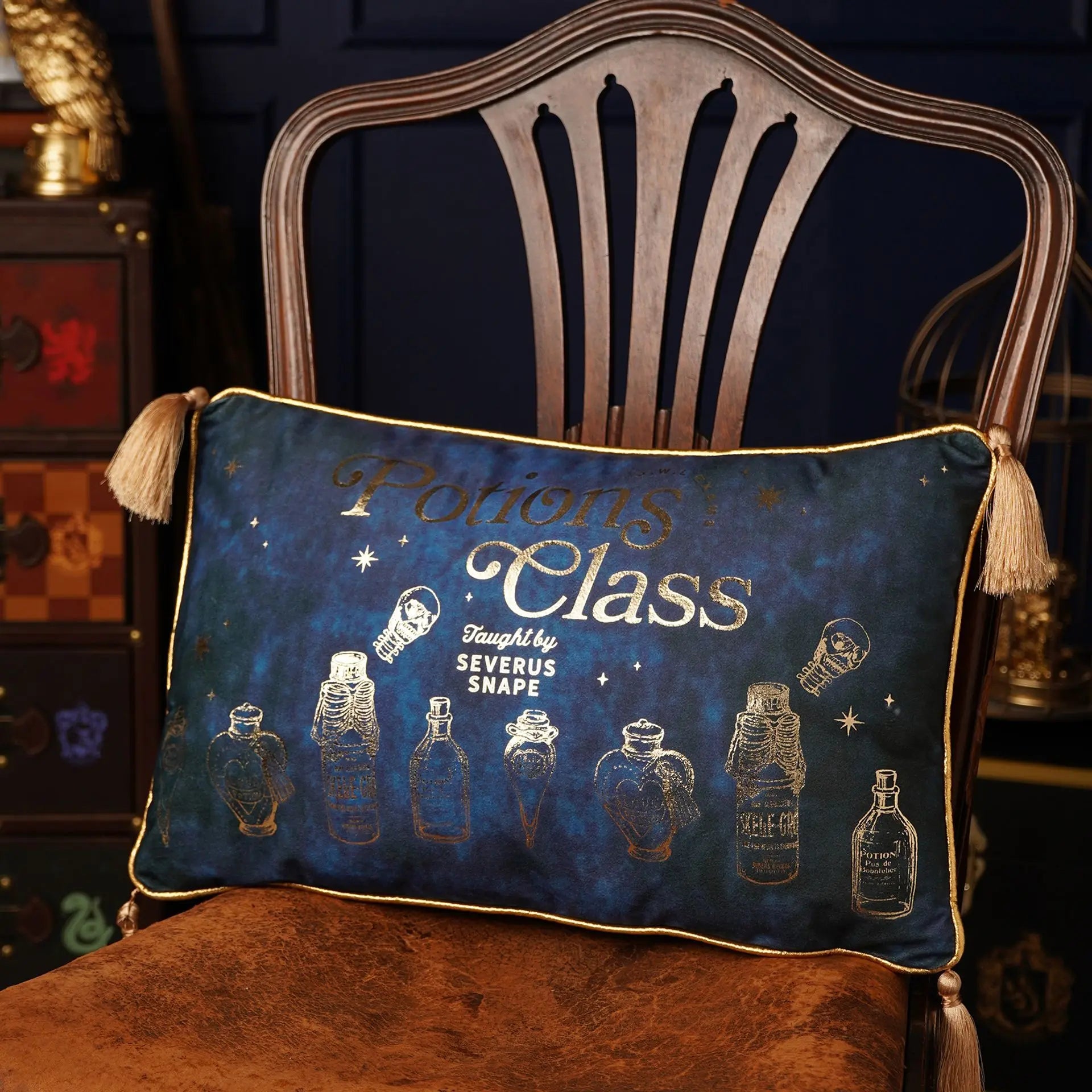 Coussin Velours Potions Class