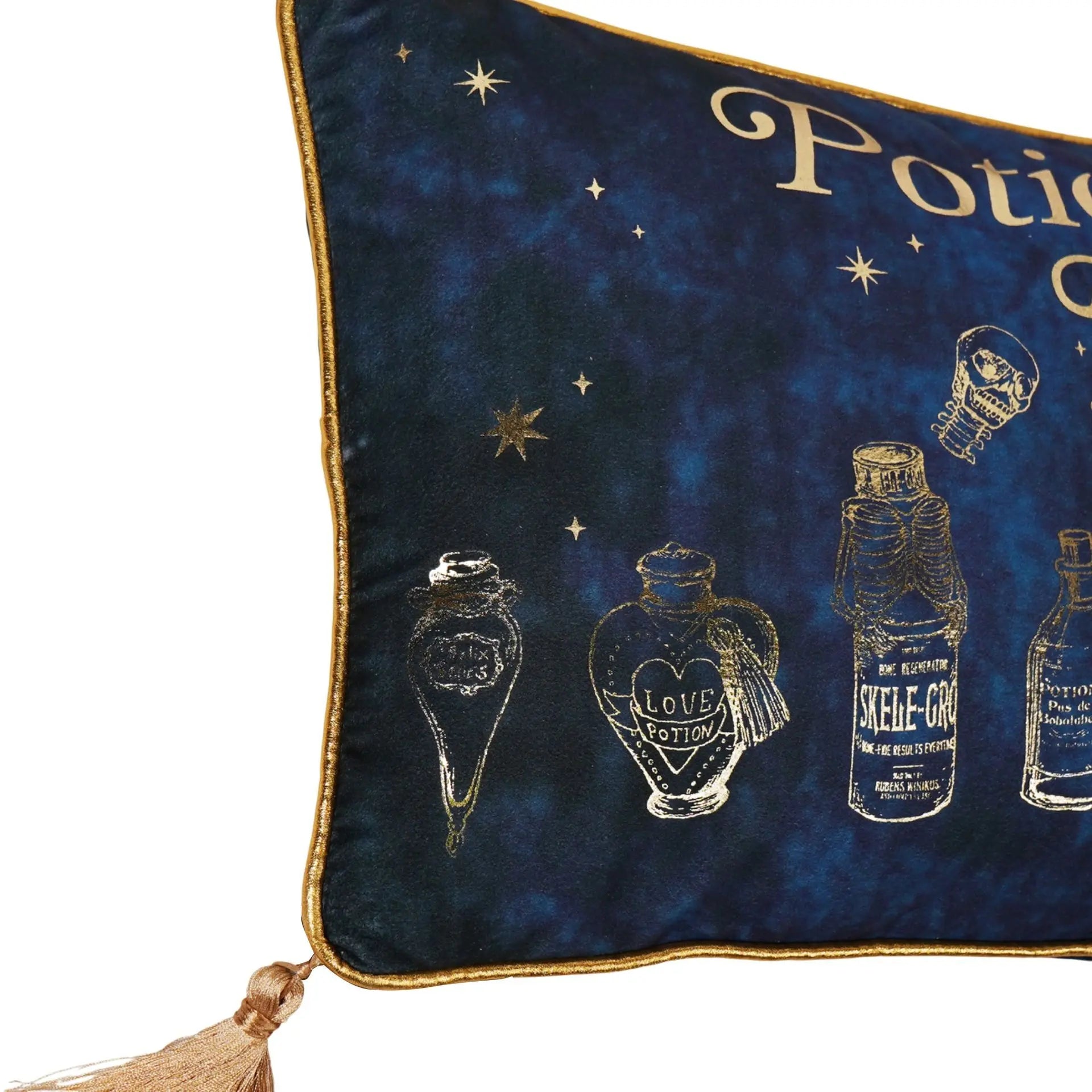 Coussin Velours Potions Class