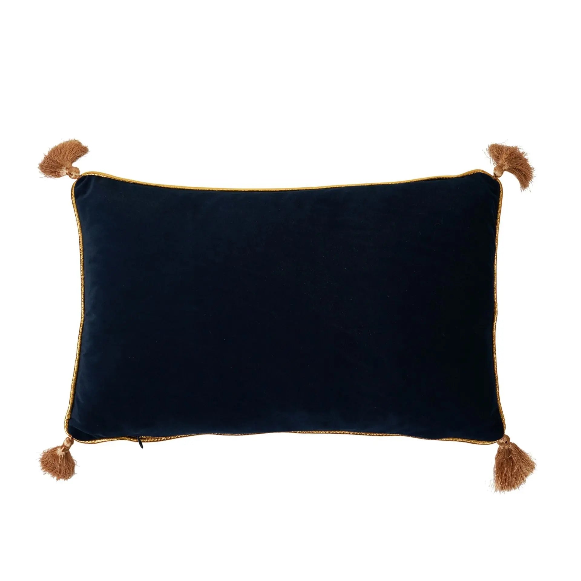 Coussin Velours Potions Class