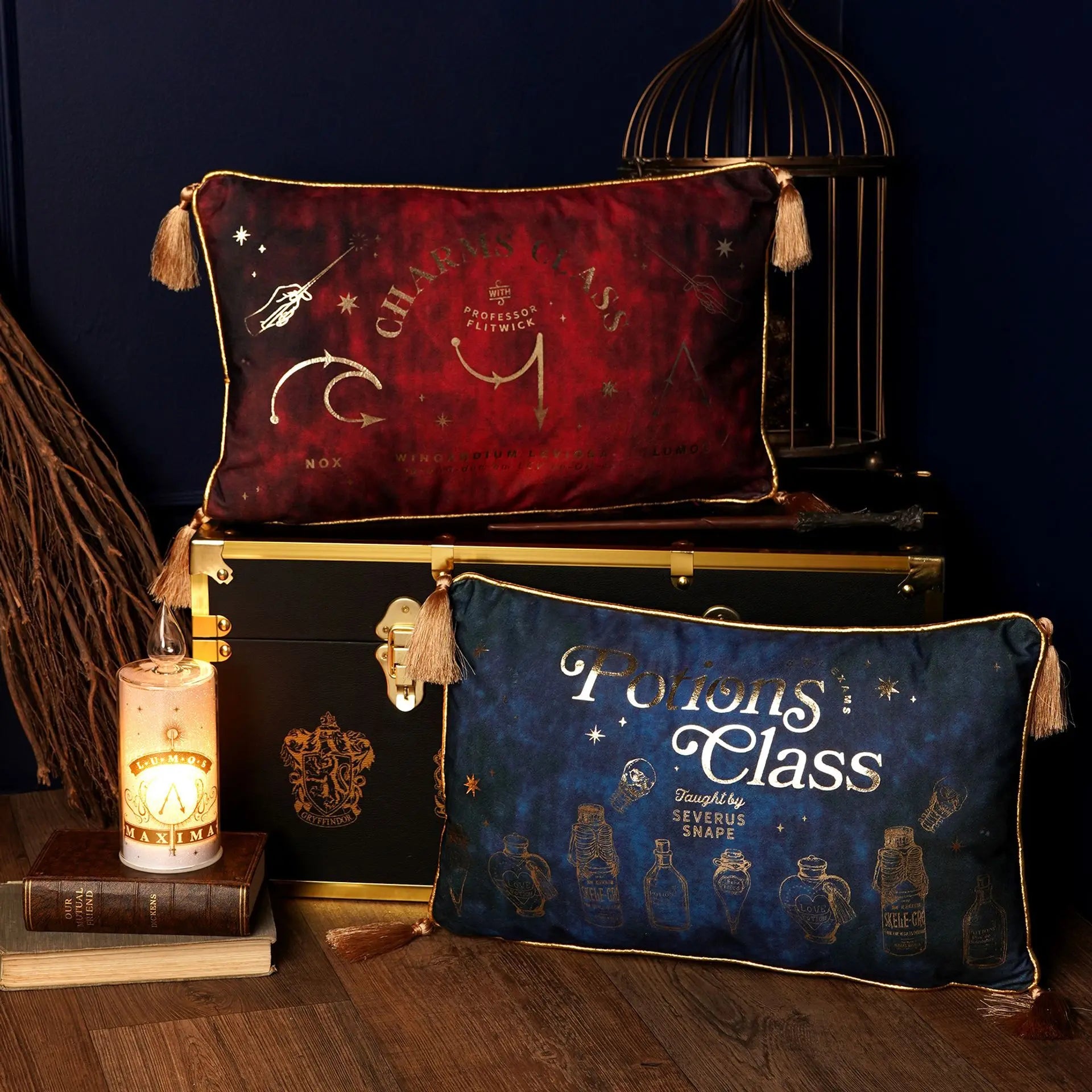 Coussin Velours Potions Class